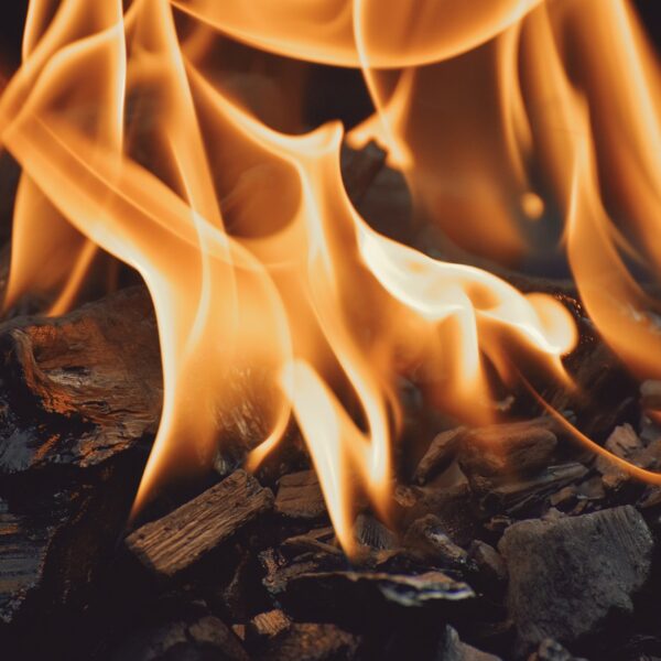 fire, flames, money, grilling, hot, fire, fire, fire, money, money, money, money, money