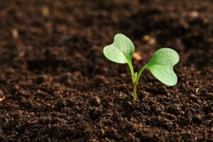 field, farming, earth, earth, earth, earth, earth, earth